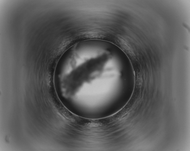 X0000097750255200803141603