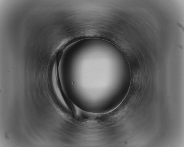 X0000097750256200803141603