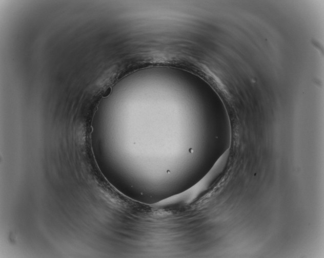 X0000097750257200803141603