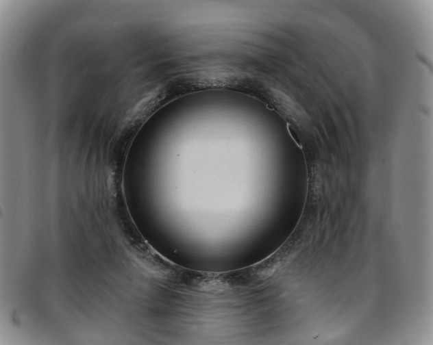 X0000097750258200803141603