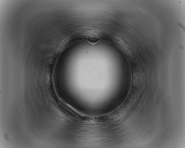 X0000097750259200803141603