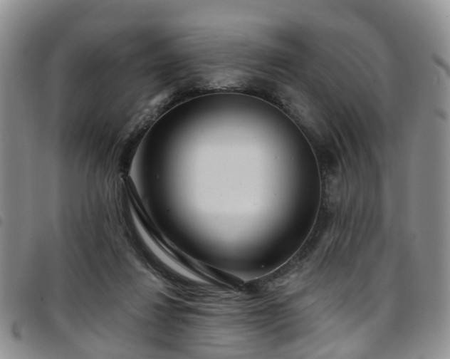 X0000097750260200803141603