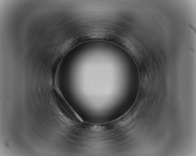 X0000097750261200803141603