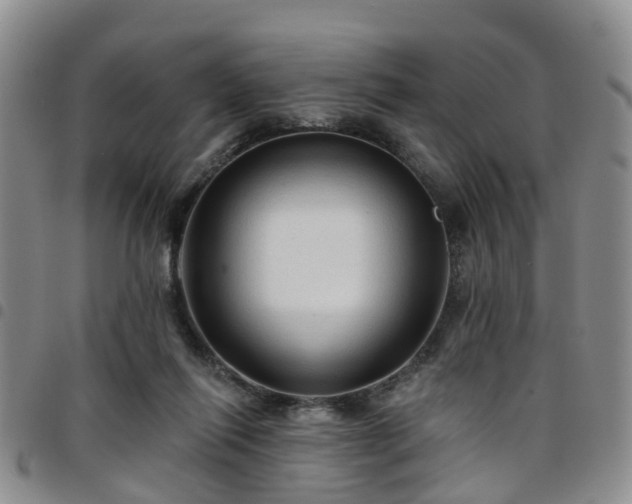 X0000097750262200803141603