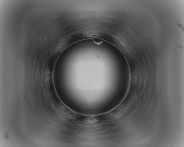 X0000097750263200803141603