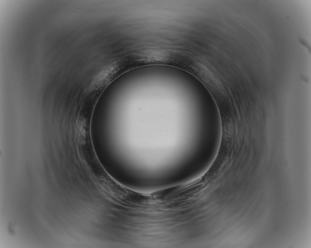 X0000097750264200803141603