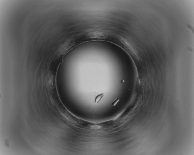 X0000097750265200803141603