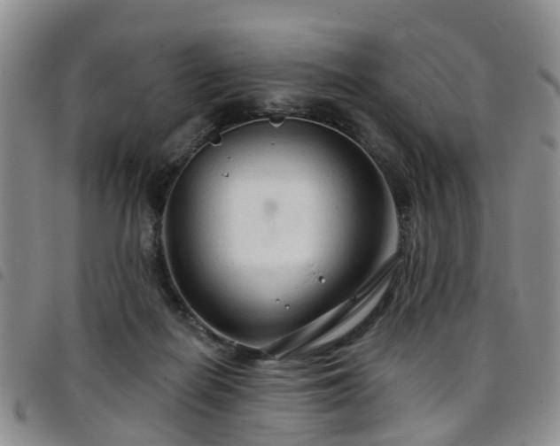 X0000097750266200803141603