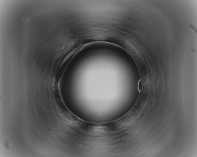 X0000097750268200803141603