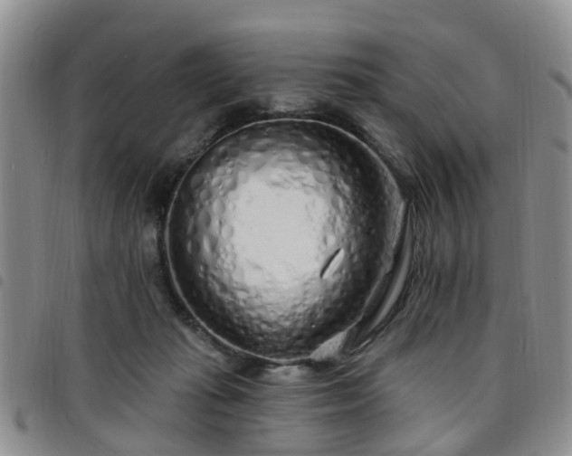 X0000097750269200803141603