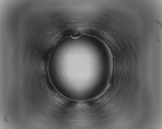 X0000097750270200803141603