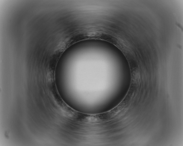 X0000097750272200803141603