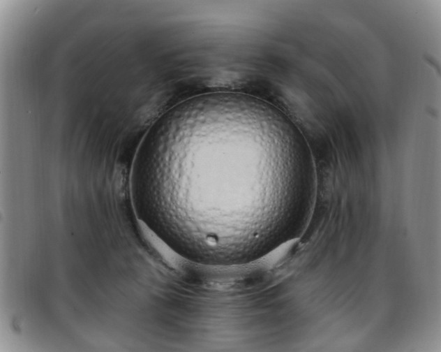 X0000097750273200803141603