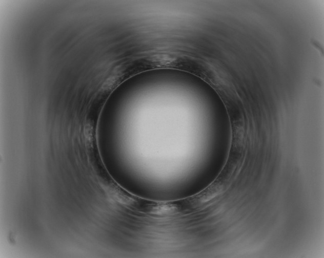 X0000097750274200803141603