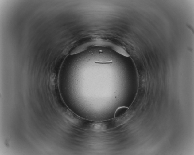 X0000097750275200803141603