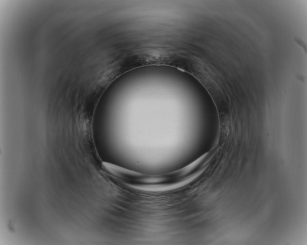 X0000097750276200803141603