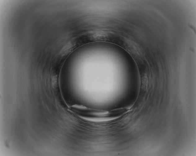 X0000097750278200803141603