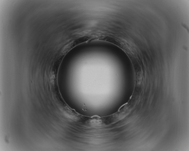 X0000097750279200803141603