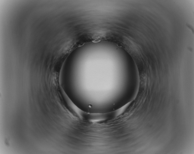 X0000097750280200803141603