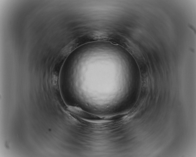 X0000097750281200803141603