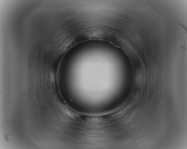 X0000097750282200803141603