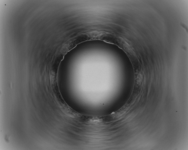 X0000097750283200803141603