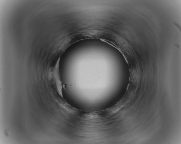 X0000097750284200803141603