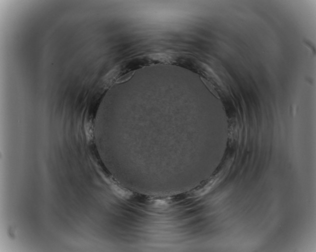 X0000097750285200803141603