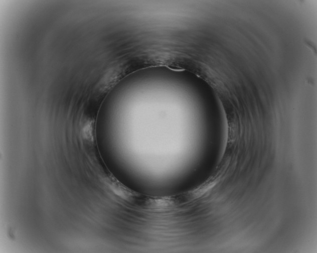 X0000097750286200803141603