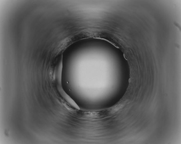 X0000097750288200803141603