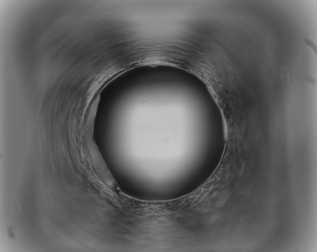 X0000097750289200803141602