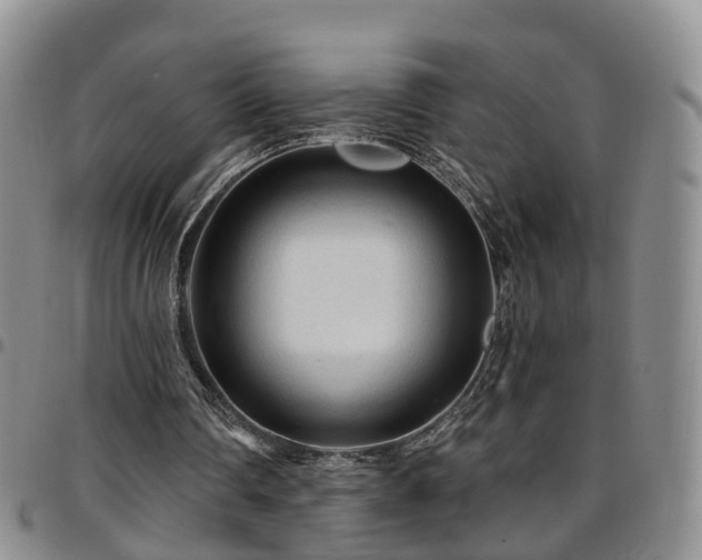 X0000097750290200803141602