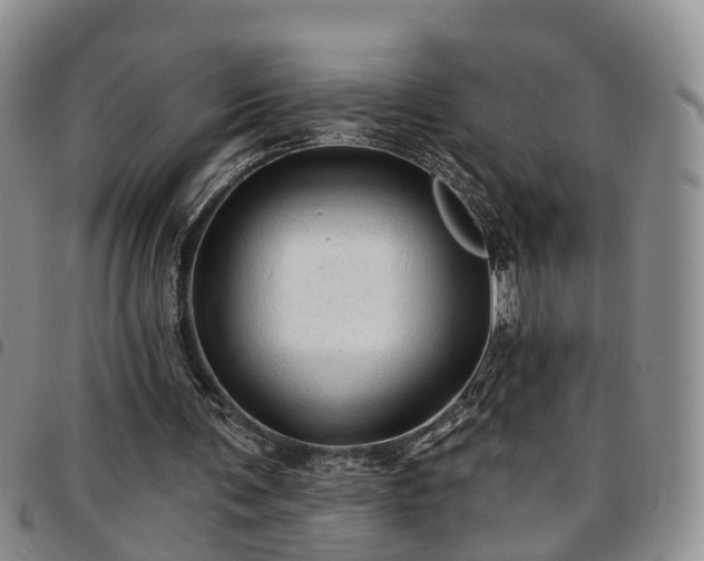 X0000097750291200803141602