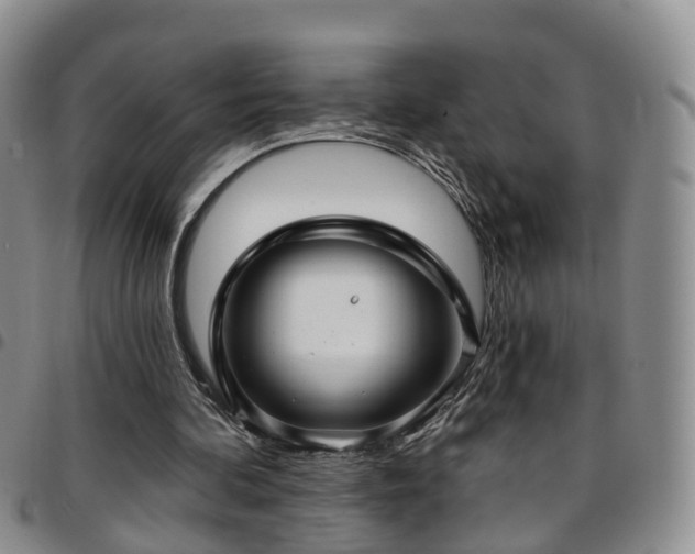 X0000097750292200803141602