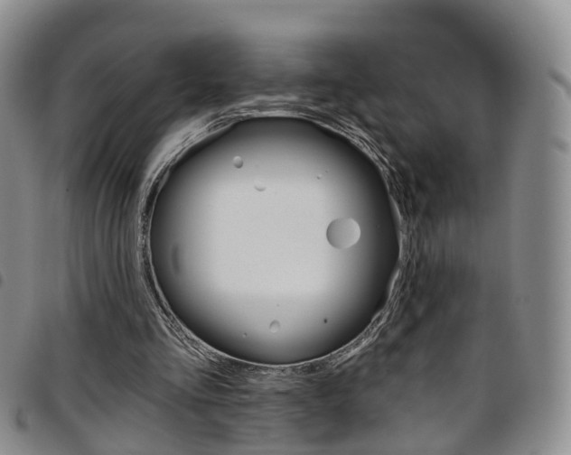 X0000097750293200803141602