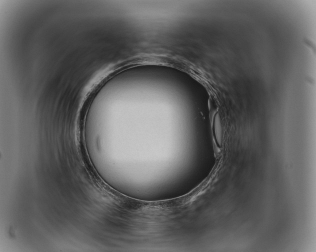 X0000097750294200803141602