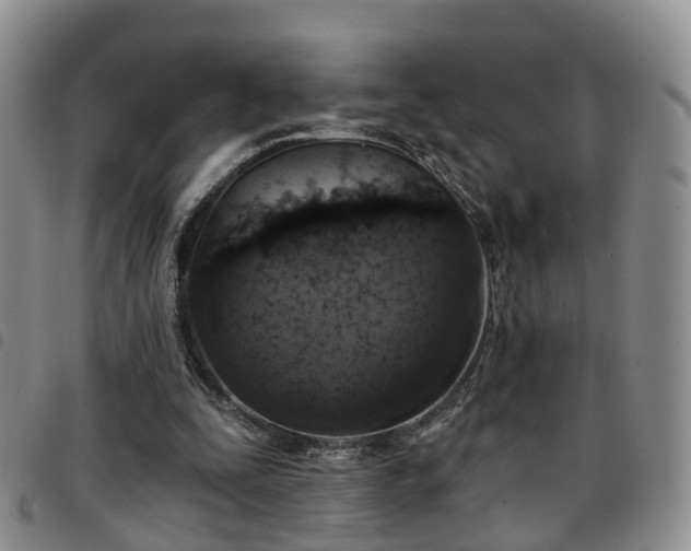 X0000097750295200803141602