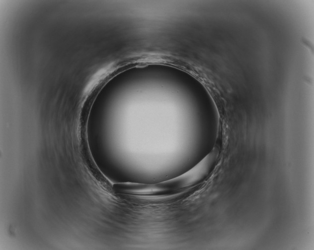 X0000097750296200803141602