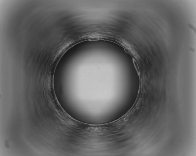 X0000097750297200803141602