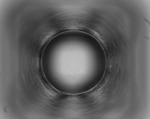 X0000097750299200803141602