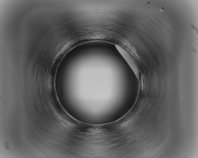 X0000097750300200803141602