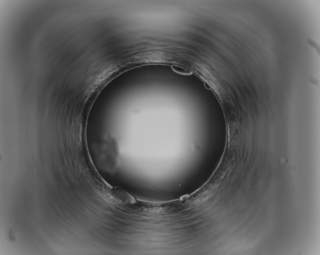 X0000097750301200803141602