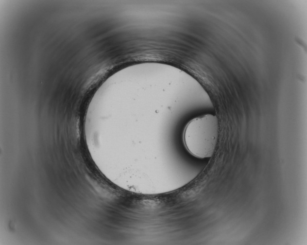 X0000097750302200803141602