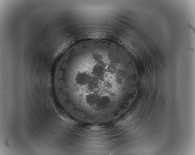 X0000097750303200803141602