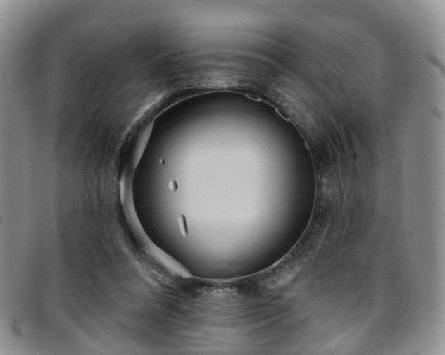 X0000097750304200803141602