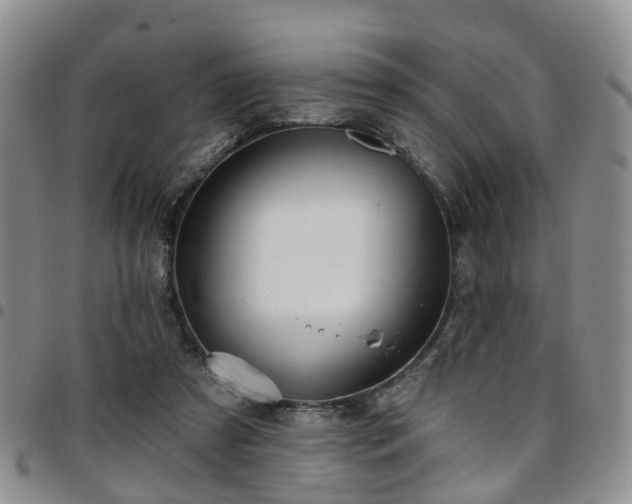 X0000097750305200803141602