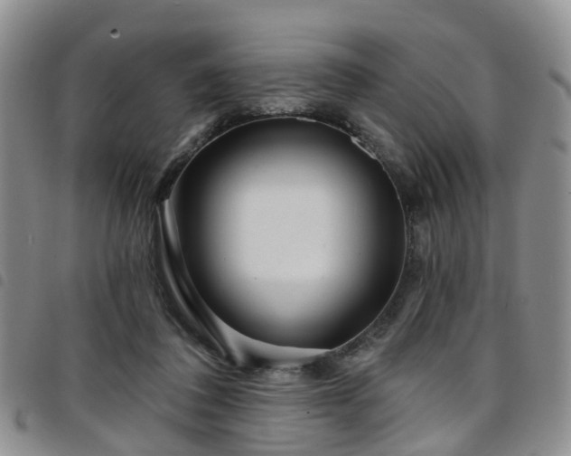 X0000097750308200803141602