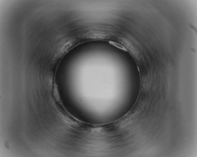 X0000097750309200803141602