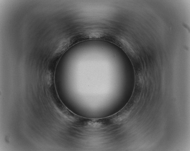 X0000097750311200803141602