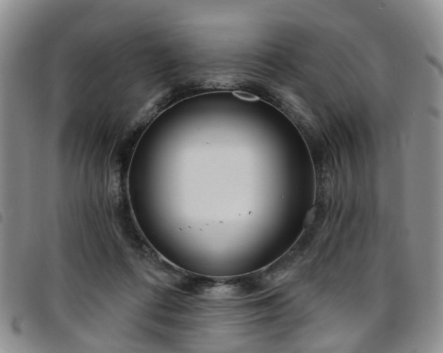 X0000097750312200803141602